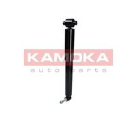 2x KAMOKA Jambe de suspension Amortisseur pour RENAULT Scénic II (JM) Arrière