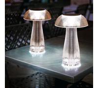 Lot de 2 lampes de table LED Lampe de chevet Lampe d'appoint Lampe de couloir avec variateur tactile, batterie rechargeable Câble USB, CCT blanc chaud-blanc froid argent, H 25 cm