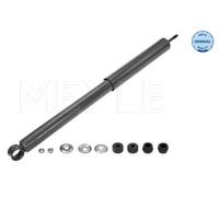 2x MEYLE 30-26 725 0009 Amortisseur pour TOYOTA RAV 4 II (CLA2, XA2, ZCA2, ACA2)