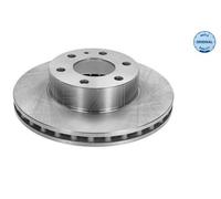 2x MEYLE Disque de frein Avant pour IVECO DAILY IV Camionnette/Break 300mm