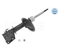 2x MEYLE Jambe de suspension Amortisseur pour FIAT Doblo I Break (119, 223) Gaz