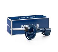 2x MEYLE Jambe de suspension Amortisseur pour RENAULT Clio III 3/5 portes Avant