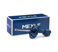2x MEYLE Jambe de suspension Amortisseur pour SMART FORTWO Coupé (453) Avant Gaz