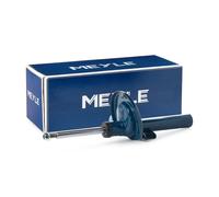 2x MEYLE Jambe de suspension Amortisseur pour VW Sharan I (7M8, 7M9, 7M6) Avant