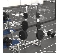 2x Plaque de Poids 2x15 kg Disque de Poids d'Haltère Musculation Fonte vidaXL