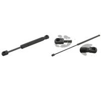 2x Ressorts à gaz de lunette arrière FEBI BILSTEIN G+D pour PORSCHE CAYENNE I