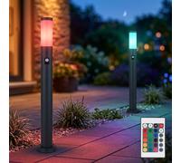 2x RGB LED Support de Lampe Détecteur Extérieur Télécommande Jardin Dimmable