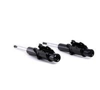 2x RIDEX 854S2198 Jambe de suspension Amortisseur pour VW CRAFTER 30-35 Bus (2E)