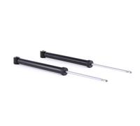 2x RIDEX Amortisseur pour VW Polo V 3/5 portes (6R1, 6C1) Golf IV Variant (1J5)