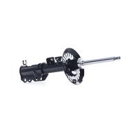 2x RIDEX Jambe de suspension Amortisseur Avant Gaz 854S1166