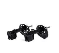 2x RIDEX Jambe de suspension Amortisseur convient pour PEUGEOT Partner II Tepee