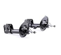 2x RIDEX Jambe de suspension Amortisseur convient pour PEUGEOT Partner II Tepee