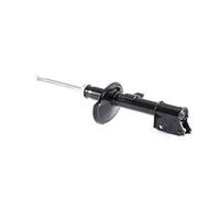 2x RIDEX Jambe de suspension Amortisseur pour RENAULT Duster (HM) Duster (HS)