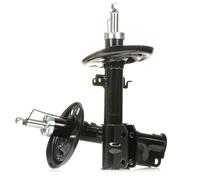 2x RIDEX Jambe de suspension Amortisseur pour RENAULT Scénic III (JZ0/1) Avant
