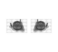 2x SASIC Suspension Simple de Jambe Élastique Avant pour Ford Transit Boîte E _