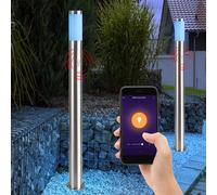 2x Smart RGB LED Jardin Support de Lampe Dimmable Alexa Extérieur Détecteur