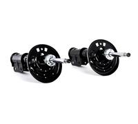 TRW JGM1054T Amortisseur Boîte, Set de 2