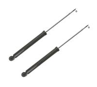 2x TRW Amortisseur pour RENAULT Clio III 3/5 portes (BR0/1, CR0/1) Arrière Gaz