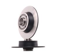 2x TRW Disque de frein Arrière pour RENAULT Clio III 3/5 portes (BR0/1, CR0/1)