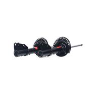 2x TRW Jambe de suspension Amortisseur pour RENAULT Kangoo II Be Bop (KW, KW0/1)