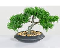 3.08 Bonsaï Zedem dans une coupe en céramique noire - env. 32 x 22 cm - Arbre de décoration artificiel