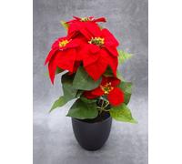 3.08 Poinsettia 40 cm en pot noir - Poinsettia / trompeur (grand)