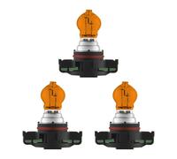 Osram Ampoule halogène ORIGINAL LINE PSX PSY24W 12 V 2503A, 1 lampe