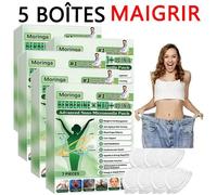 3 Boîtes Moringa 10 in 1 Patches,Advanced Nano Microneedle Patch,for Body Types, Easy to Apply 2 ACCESSOIRES BEA ACCESSOIRES BEAUTE