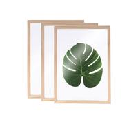 3 cadres en bois pour Herbier A4