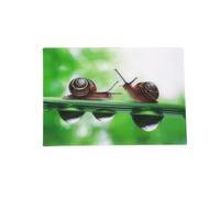 3 Carte d'affichage escargots Carte postale carte animé hologramme Carte escargot Animaux Animaux Domestiques