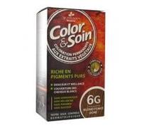 Color & Soin Coloration Permanente Aux Extraits Végétaux 6G Blond Foncé Doré 1 Kit