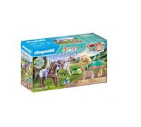 3 chevaux morgan, quarter horse & shagya