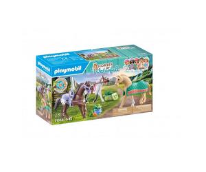 3 chevaux morgan, quarter horse & shagya