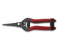 3 Claveles 03292 Ciseaux pour Nettoyer Les Raisins Droits