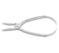 3 CLAVELES 579 - Couteau à Fruits de mer, INOX, avec Ressort, 17,5 cm