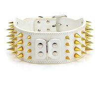 3" Collier de Chien clouté à Pointes dorées de Largeur pour Chiens de Taille Moyenne et Grande Balle Rivet clouté Accessoires pour Animaux de Compagnie en Cuir PU, Clou d'or Blanc de Pentecôte, M