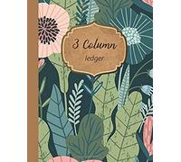 3 Column Ledger: Large Space 30 Row Easy Writing : Record Book Accounting Journal : Simple Cash Book, Expenses Financial Tracker, Notebook Bookkeeping : Small Bussiness / Home Office / School : 8.5"X1