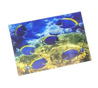 3 d'affichage Carte acanthuridae Carte postale carte animé hologramme Carte Animaux poisson poissons