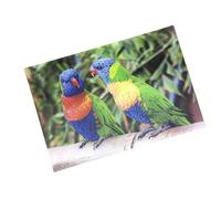 3 d'affichage Carte Loris Carte postale carte animé hologramme Carte Animaux Oiseaux Oiseaux Perroquets