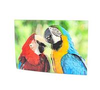 3 d'affichage Carte perroquet Carte postale carte animé hologramme Carte Animaux Oiseaux Oiseaux Perroquet Aras