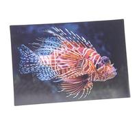 3 d'affichage Carte Rouge Feu poisson Carte Carte postale carte hologramme animé Animaux Poissons