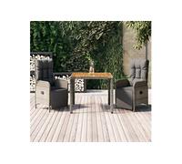 vidaXL 3-delige Tuinset met kussens poly rattan grijs3185044 Gris G