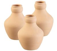 3 doseurs dirrigation en terre cuite - 1 L [Royal Gardineer]