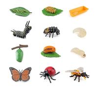 3 Ensembles De 12 Modèles de Cycle de Vie Insecte : Larves de Coccinelle, Cycle de Vie d'Abeille, Jouet pour Enfants