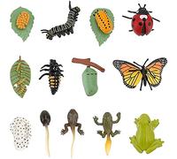 3 Figurines de Vie Insectes, Coccinelle, Safariologie, Croissance, Maquette, Jouet Educatif