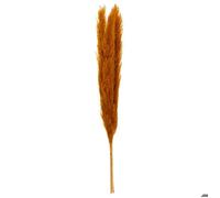 3 fleurs séchées ""Pampa naturelle"" jaune moutarde H110cm - Atmosphera createur d'interieur