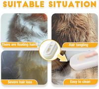 3 In 1 Cat Steam Brush Steam Brush Steam Grooming Brush With Foldable Handle Multifunctional Refillable Cat Grooming Brush Spray For Hair Loss Removal