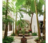 3 Jours En Riad Avec Dîner Au Coeur De Marrakech - Smartbox - Coffret Cadeau Séjour