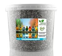 3 kg de graines de tournesol rayées - Nourriture pour oiseaux sauvages - Tournesols dans un seau (3 kg)