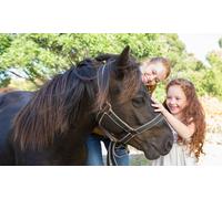 3 leçons découverte équestres d 1h chacune pour enfant de 7 à 14 ans